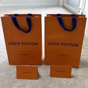 Louis Vuitton shopping 🛍️ bags